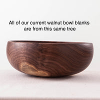 ROUGHED OUT BOWL BLANKS IN BLACK WALNUT